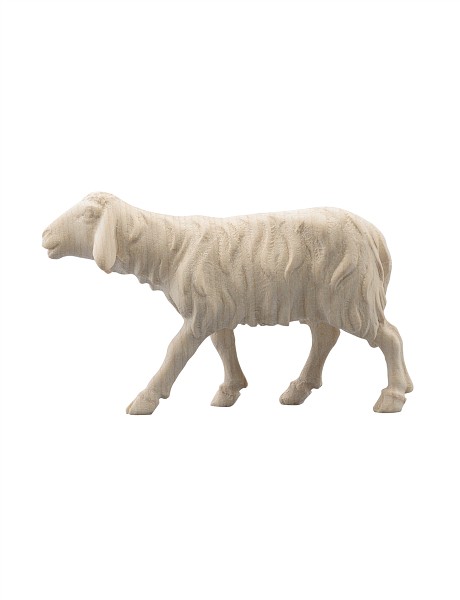 Schaf laufend