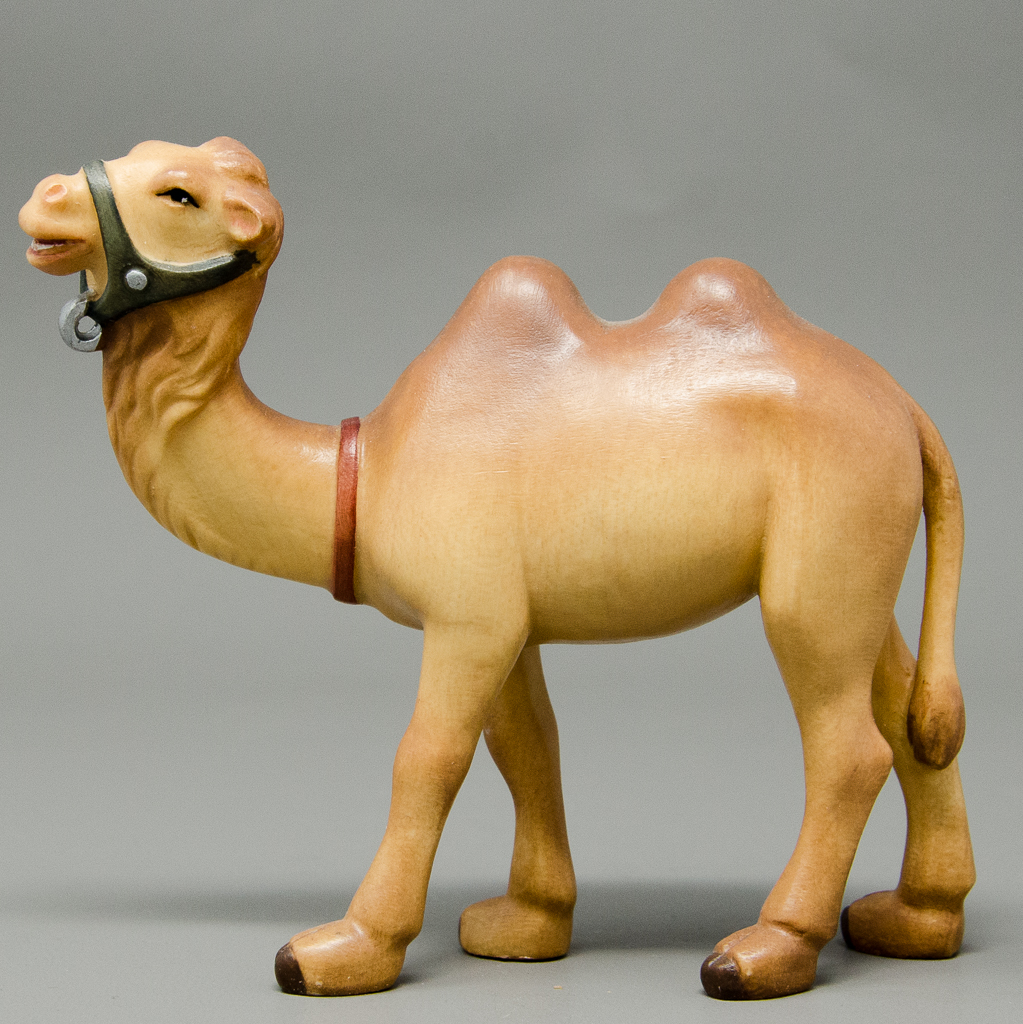 Kamel