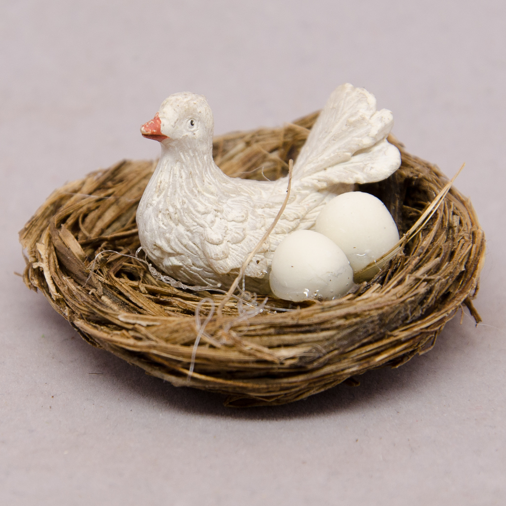 Nest mit Taube und Eier